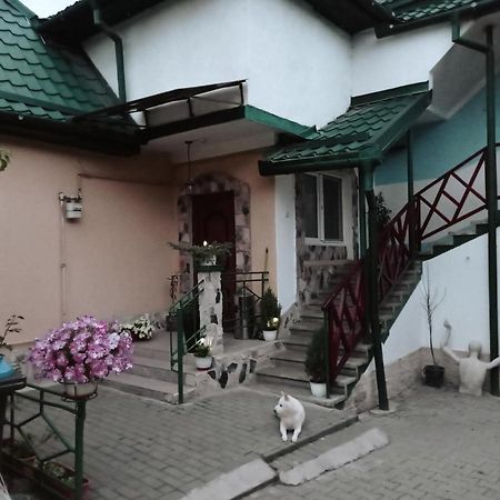ホテル Casa Vinco Vici トゥルダ エクステリア 写真