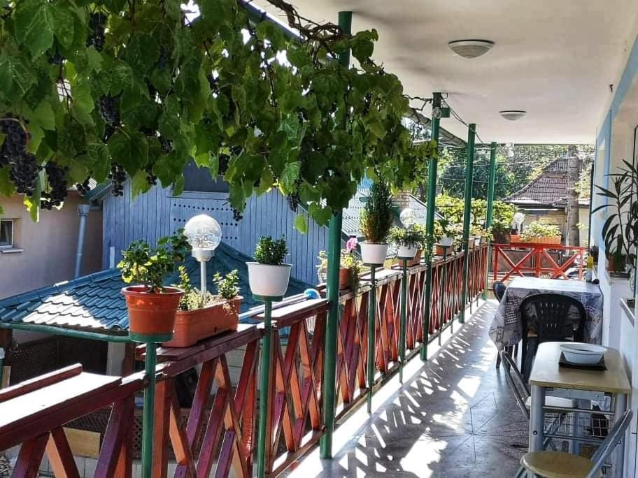 ホテル Casa Vinco Vici トゥルダ エクステリア 写真