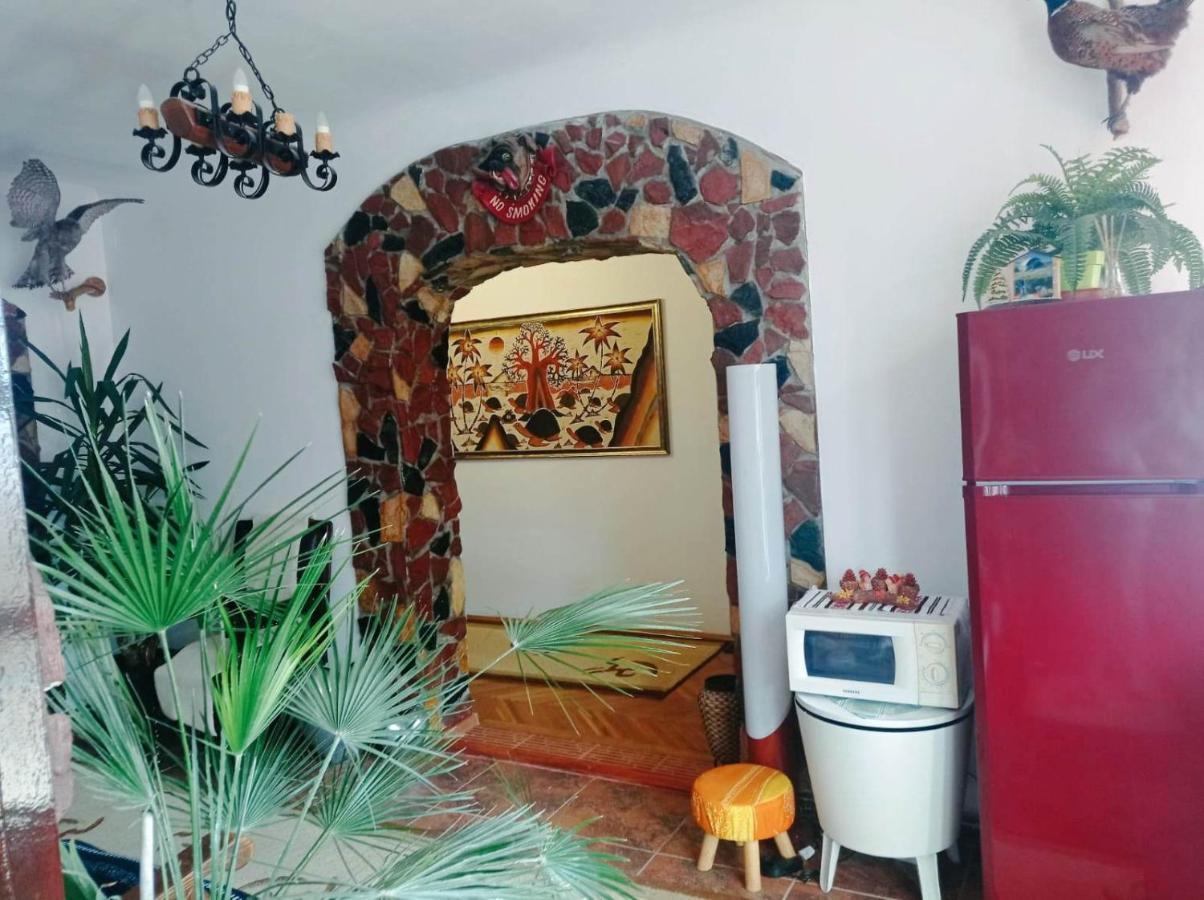 ホテル Casa Vinco Vici トゥルダ エクステリア 写真